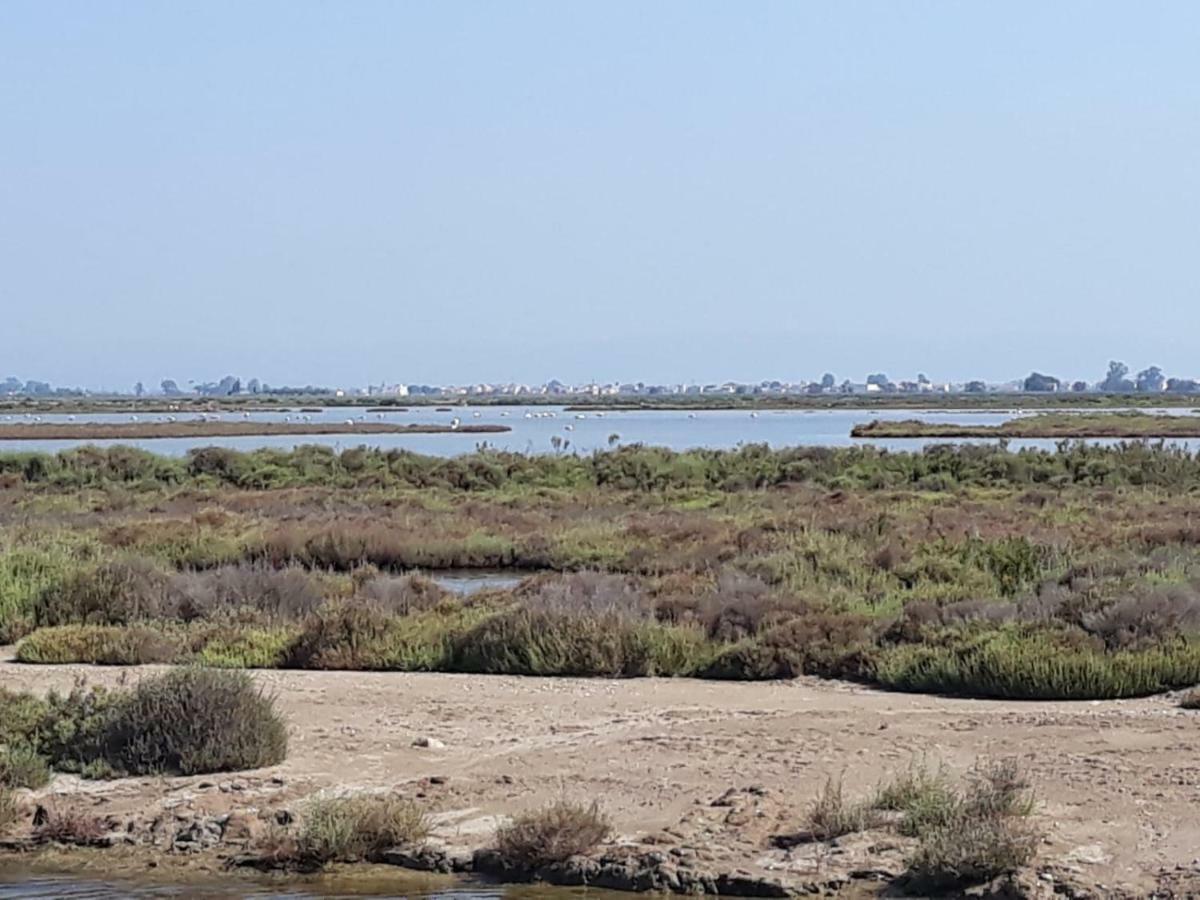 L'Apartament De La Iaia Sant Jaume d'Enveja Exteriör bild